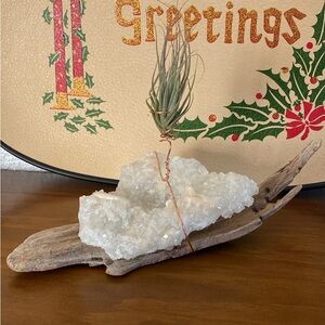 Crystal Air Plant Holder on Driftwood